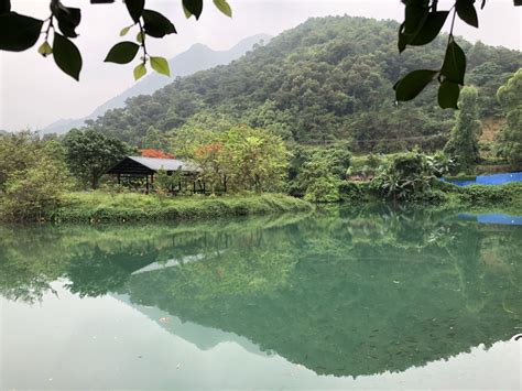 肇慶紫雲谷